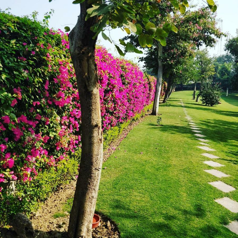 Hotel Trident Agra Agra  Exterior foto The campus